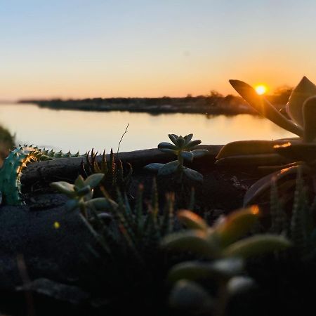 Kuvira River Camp Divundu Bagian luar foto